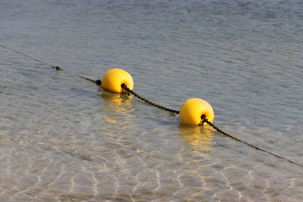 Rope Floats City Beach Enclosing Safe Swimming Areas — 스톡 사진