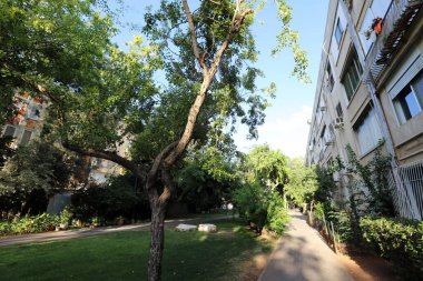 Tel Aviv Israel August 18, 2022. Greater Tel Aviv is a city on the east coast of the Mediterranean Sea. 