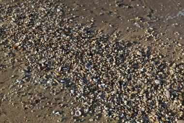 Large stones on the shore of the Mediterranean Sea 