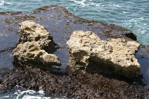 Large Stones Shore Mediterranean Sea — Foto de Stock