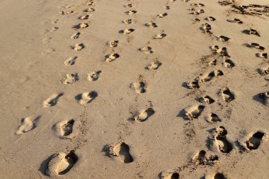 Footprints in the sand on the shores of the Mediterranean Sea.