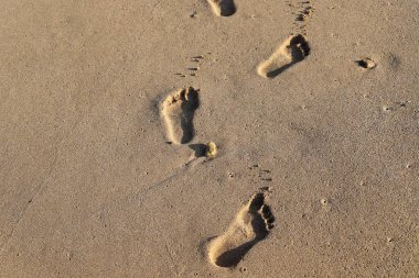 Footprints in the sand on the shores of the Mediterranean Sea.