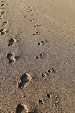 Footprints in the sand on the shores of the Mediterranean Sea.