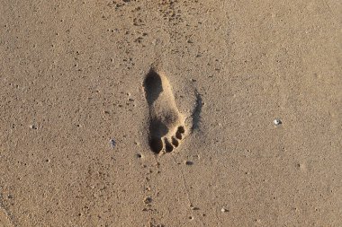 Footprints in the sand on the shores of the Mediterranean Sea.