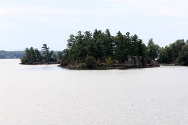 Bin Ada, Kanada ve Amerika Birleşik Devletleri 'nin St. Lawrence Nehri boyunca uzanan bir takımadalardır.. 