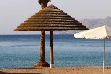 Şemsiye deniz kenarındaki şehir parkında.