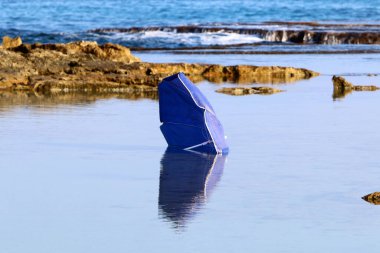 Şemsiye deniz kenarındaki şehir parkında.