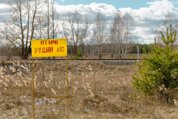Panneau Avertisseur Rayonnement Dans Forêt Rouge Chornobyl — Photo