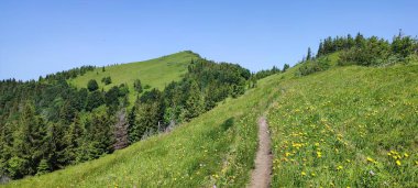 Dağlarda dağları olan güzel bir manzara.