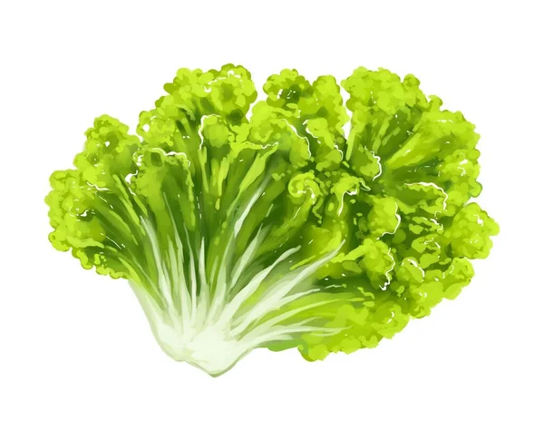 Tasty Delicious Salad Fresh Healthy Food Vegetables Diet Natural Eating — Stockvektor
