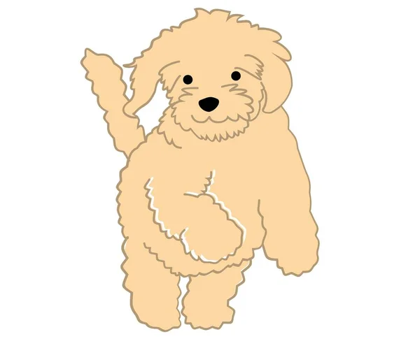 Beautiful Colorful Dog Vector Illustration Drawings Malls Pets Wildlife Doggy — Stockový vektor