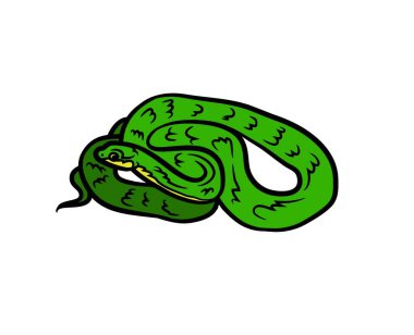 Colorful snake with white background new vector illustration graphics drawing animals wildlife nature silhouette mammals.