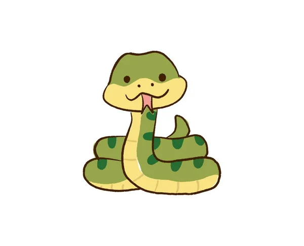 Colorful Snake White Background New Vector Illustration Graphics Drawing Animals — 스톡 벡터