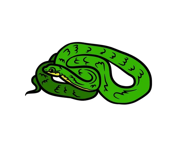 Красочная Змея Белом Фоне Новая Векторная Иллюстрация Графика Рисунок Животных — стоковый вектор