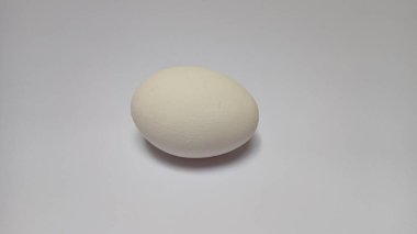 Uncooked egg in white color with white background food meal lunch dinner breakfast healthy eating 