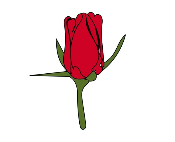 Όμορφο Κόκκινο Τριαντάφυλλο Λευκό Φόντο Διανυσματική Απεικόνιση Σχέδιο Closeup Από — Διανυσματικό Αρχείο