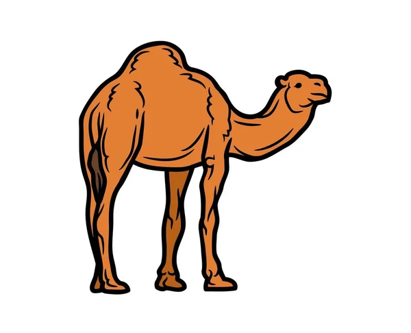 Camel Vetor Ilustração Animais Logotipo Desenho Gráficos Animais Estimação Vida —  Vetores de Stock