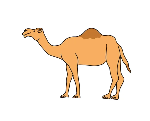 Camel Vetor Ilustração Animais Logotipo Desenho Gráficos Animais Estimação Vida —  Vetores de Stock