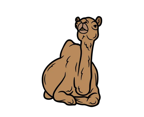 骆驼矢量或图解动物标识绘图3D图形宠物野生动物彩色单骆驼轮廓卡通人物艺术 — 图库矢量图片