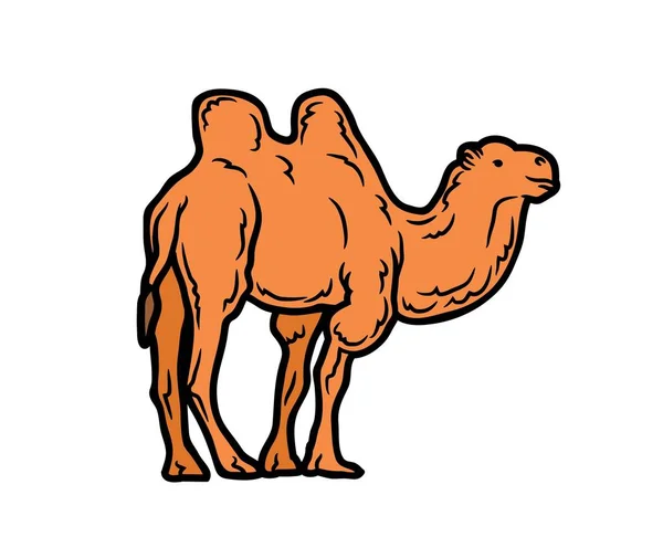 ラクダベクトルやイラスト動物のロゴを描く3Dグラフィックペット野生動物のカラフルなシングルラクダのシルエット漫画風キャラクターアート — ストックベクタ