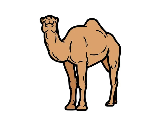 Camel Vector Illustratie Dieren Logo Tekenen Graphics Huisdieren Wild Kleurrijke — Stockvector