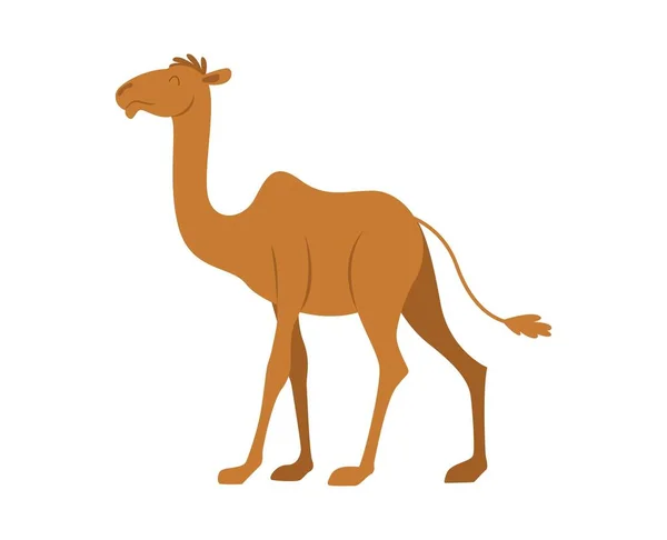 Camel Vector Sau Ilustrare Animale Logo Desen Grafică Animale Companie — Vector de stoc