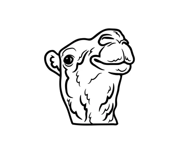 Cammello Vettore Illustrazione Animali Logo Disegno Grafica Animali Domestici Fauna — Vettoriale Stock