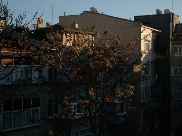 Şehrin havadan görünüşü