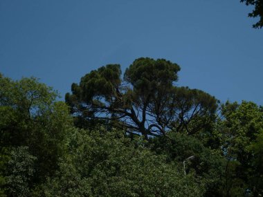 Bosphorus manzaraları denizi ve gökyüzünü
