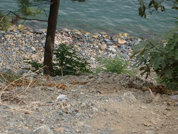 Bosphorus manzaraları denizi ve gökyüzünü