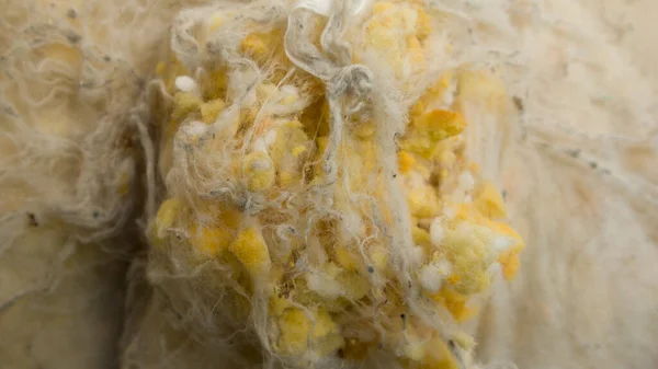sponge pillow inner fragmented scattered