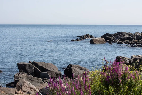 York Beach Maine Blick Auf Felsigen Floralen Vordergrund Mit Meer — Stockfoto