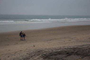 İzole okyanus sahilinde yürüyen arkadaşlar - kopya için arka plan ve alan