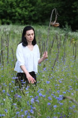 Beyazlar içindeki güzel bir kız sıcak bir yaz gününde elinde kurumuş ayçiçekleri tutuyor.