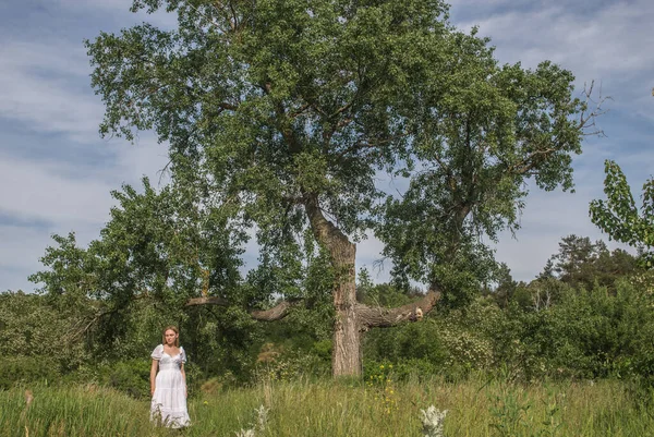 在特拉赫特米罗夫村的三叉树旁 一位身穿乌克兰传统白衣的美丽的乌克兰少女在田里玩耍 — 图库照片
