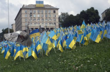Fifty-five flags with the callsigns of the dead Azov fighters have been planted in Kiev's Maidan.