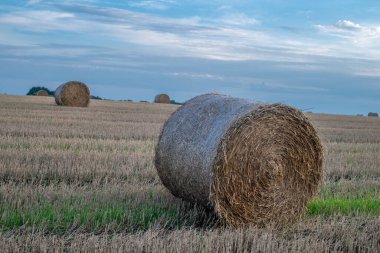 Ukraine. August. Hay bales in a field at sunset.