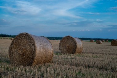 Ukraine. August. Hay bales in a field at sunset.