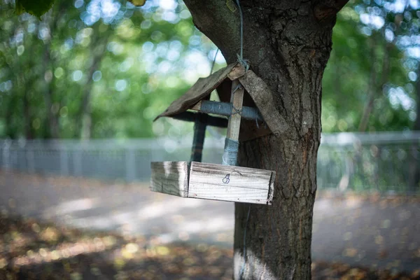 Een Herfstdag Het Park Bladeren Zijn Geel Geworden Gevallen Gerijpte — Stockfoto