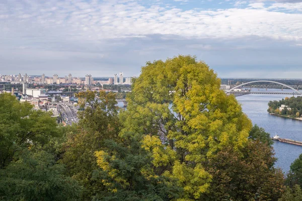 An autumn day in the park. The leaves have turned yellow and fallen. Ripened chestnuts and cranberries can be seen on the trees.