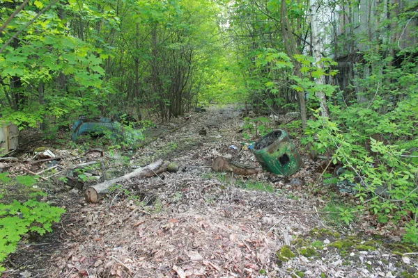 Pripyat Región Kiev Ucrania Septiembre 2022 Ciudad Pripyat Años Después —  Fotos de Stock