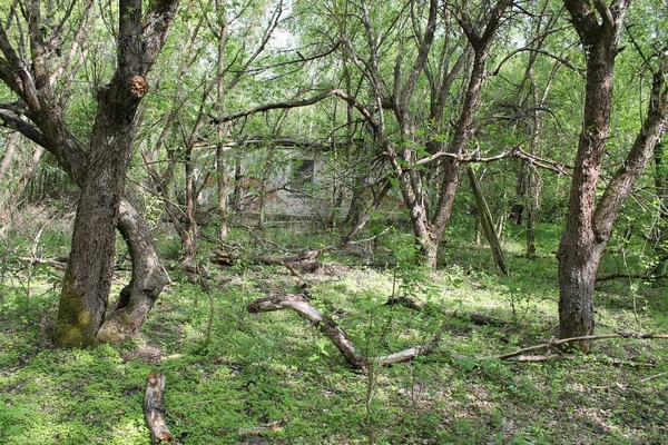 Pripyat Kiev Regionen Ukraina September 2022 Pripyat Efter Olyckan Vid — Stockfoto