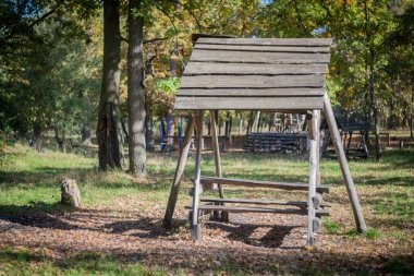 Parkta sonbahar günü. Ağaçlarda sarı yapraklar, güneşte güneşlenen kediler ve banklarda sarı yapraklar var..