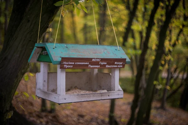 Vogelfutterstelle Gibt Ein Vogelfutterhäuschen Auf Einem Baum Einem Herbstwald — Stockfoto