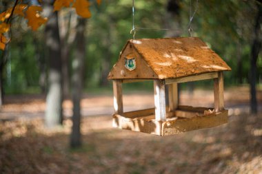 Kuş yemliği. Bir sonbahar ormanındaki ağaçta bir kuş besleyicisi var..