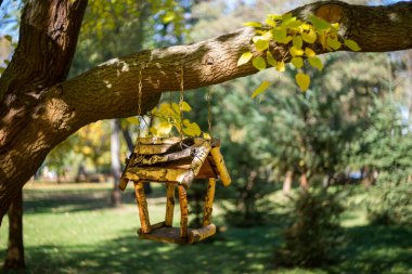 Kuş yemliği. Bir sonbahar ormanındaki ağaçta bir kuş besleyicisi var..