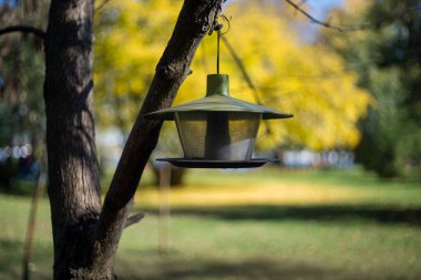 Kuş yemliği. Bir sonbahar ormanındaki ağaçta bir kuş besleyicisi var..