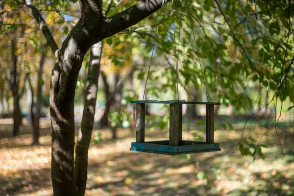 Alimentador Aves Hay Comedero Aves Árbol Bosque Otoño —  Fotos de Stock