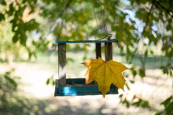 Alimentador Pássaros Alimentador Pássaros Uma Árvore Uma Floresta Outono — Fotografia de Stock