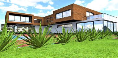 Çağdaş kır evinin avlusundaki yol boyunca çalı çırpı olan çimenler ön cephe tahtasıyla son buldu. 3d oluşturma.